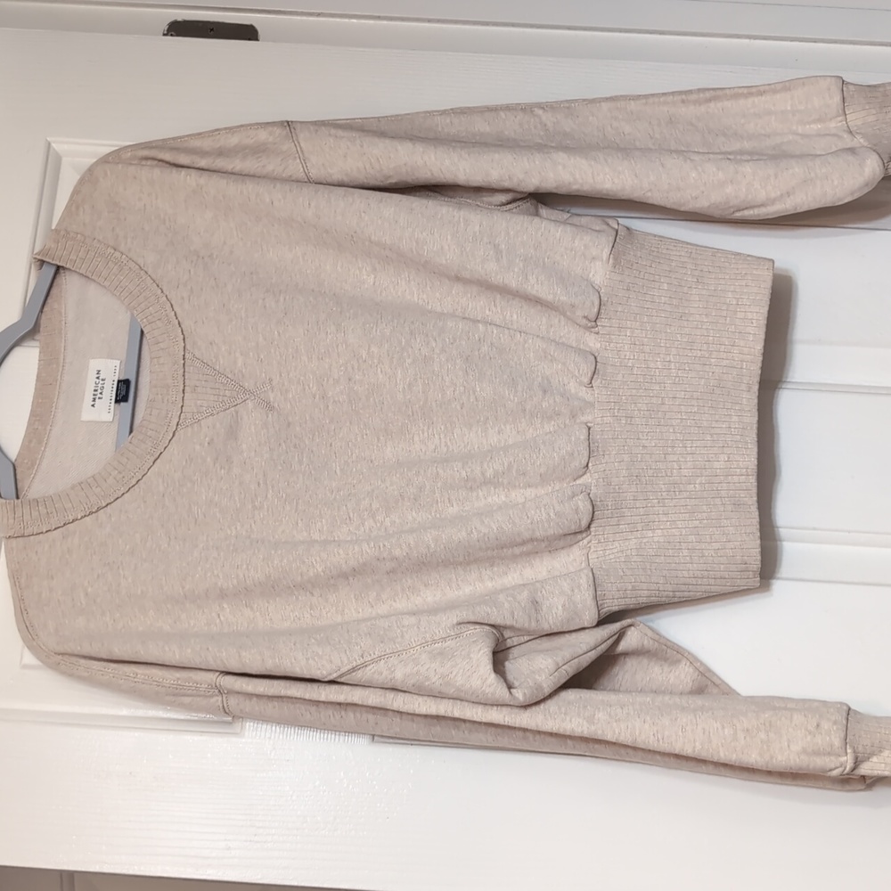 COPY - American Eagle Cropped Sweatshirt sz xl